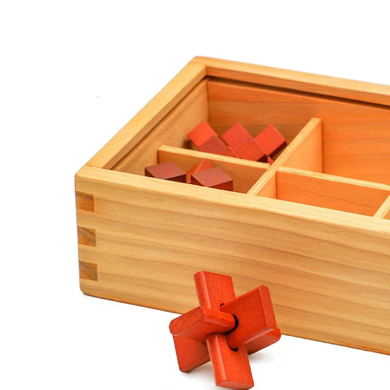 Caja enigma: set de 9 acertijos mentales (Edicion Braincraft)