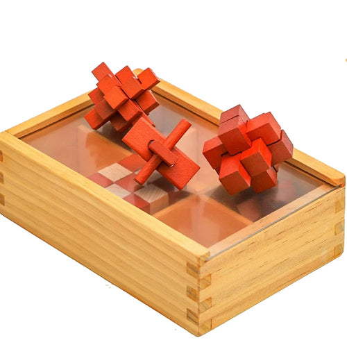 Caja enigma: set de 9 acertijos mentales (Edicion Braincraft)