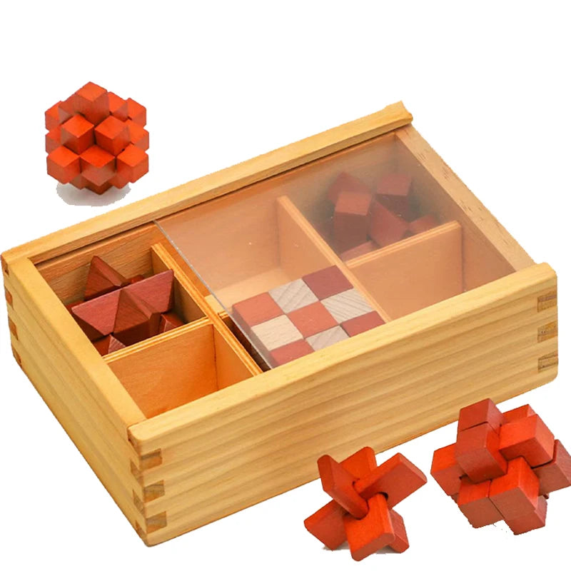 Caja enigma: set de 9 acertijos mentales (Edicion Braincraft)